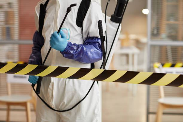 Professional Sewage Cleanup technician working in Visalia, CA